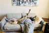 Is your dog getting enough sleep?