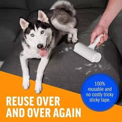 Fur Hair Remover - PetSala