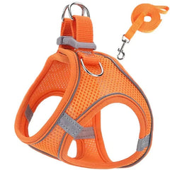 Harness and Leash Set - PetSala