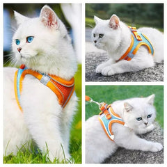 Harness and Leash Set - PetSala
