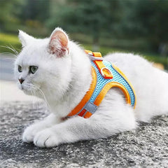 Harness and Leash Set - PetSala