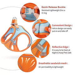 Harness and Leash Set - PetSala