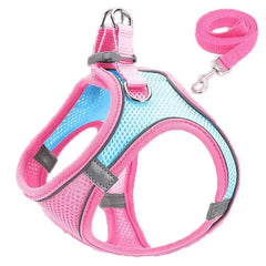 Harness and Leash Set - PetSala
