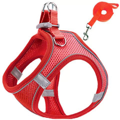 Harness and Leash Set - PetSala