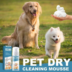 Pet Dry Shampoo - PetSala