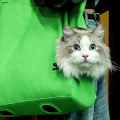 Pet Shoulder Carrying Bag - PetSala