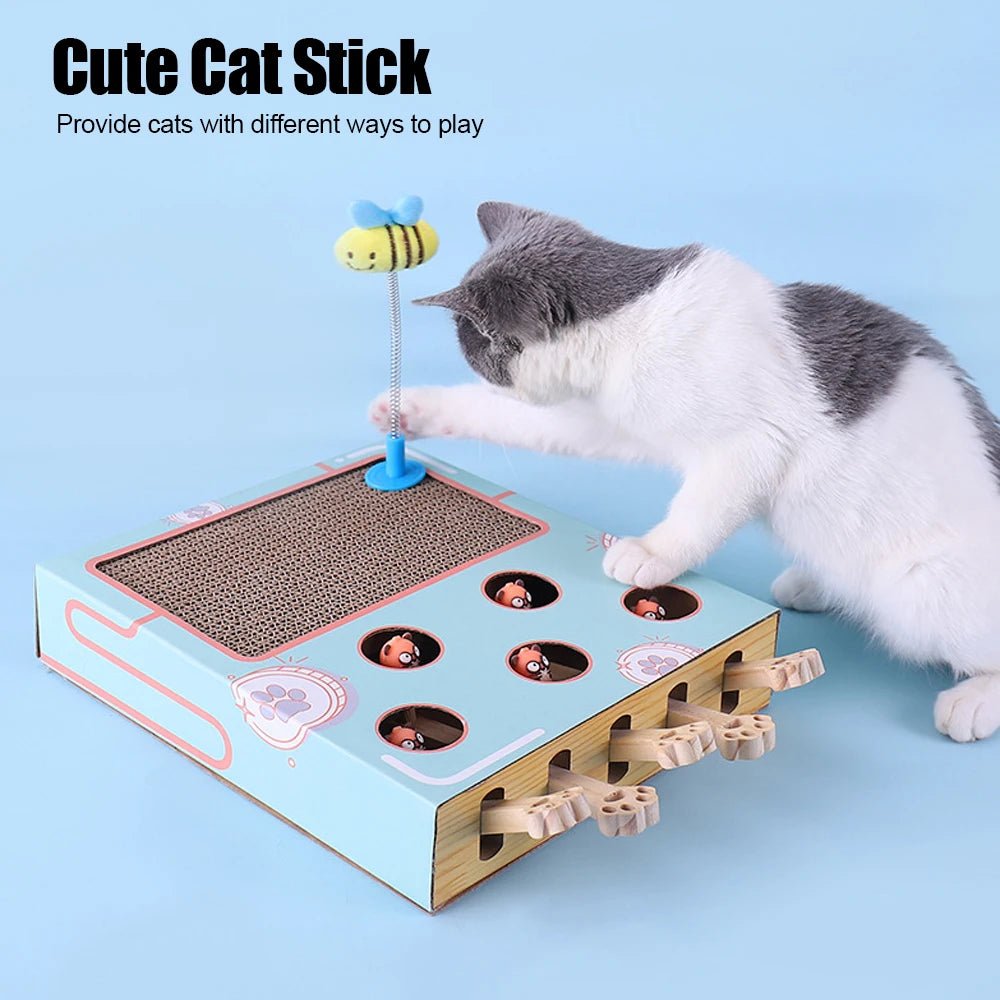 Cat interactive clearance