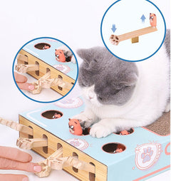 3 in 1 Cat Interactive Toy - PetSala