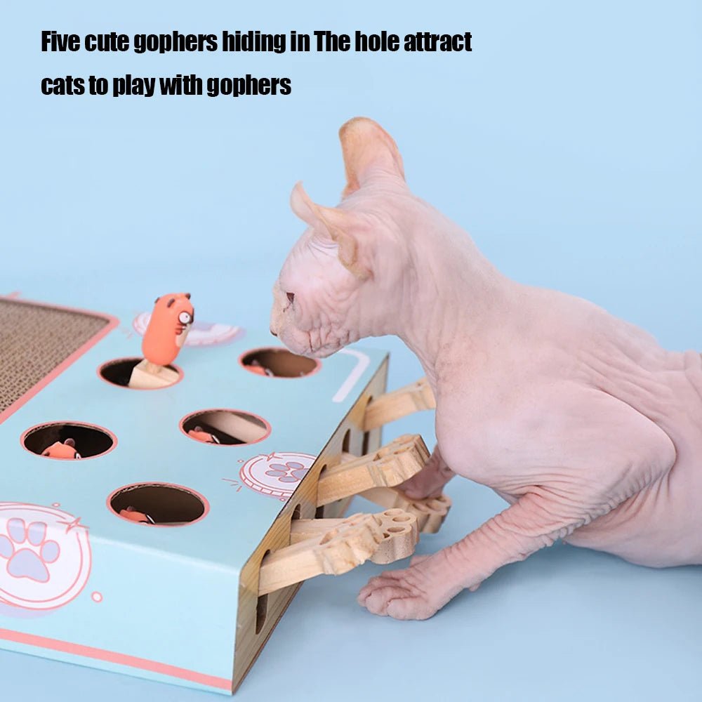 3 in 1 Cat Interactive Toy - PetSala