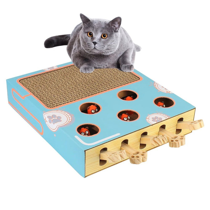3 in 1 Cat Interactive Toy - PetSala
