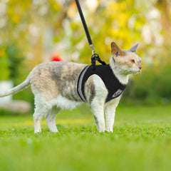 Breathable Cat Harness And Leash - PetSala