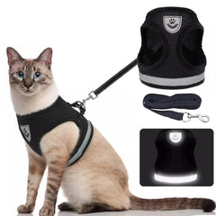 Breathable Cat Harness And Leash - PetSala