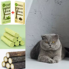 Cat Snak Sticks/12Pcs - PetSala