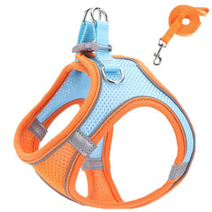 Harness and Leash Set - PetSala