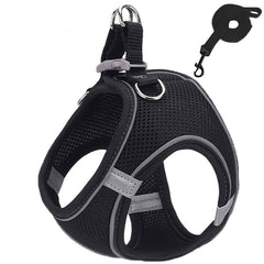 Harness and Leash Set - PetSala