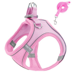 Harness and Leash Set - PetSala